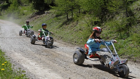 Eine Idee am Erbeskopf: Mit sogennanten Mountaincarts den Berg herunterfahren.