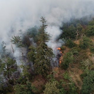 Einsatzkräfte der Feuerwehr aus der Region Trier unterstützen, den Waldbrand am Rotenfels im Kreis Bad Kreuznach zu bekämpfen. 