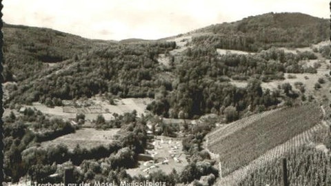 Die historische Postkarte zeigt das Kautenbachtal über dem Minigolfplatz in Traben-Trarbach. Früher gab es dort viel mehr Weinberge als heute. 