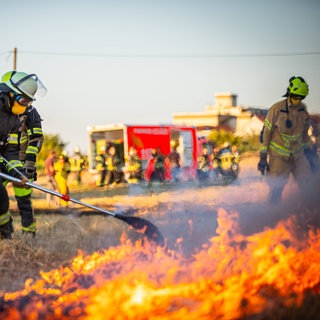 Die anhaltende Hitze sorgt auch in der Region Trier für immer mehr Waldbrände. 