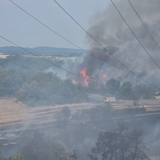 Ein Rallyeauto verursacht großen Flächenbrand in Reichenbach beim Baumholder im Hunsrück