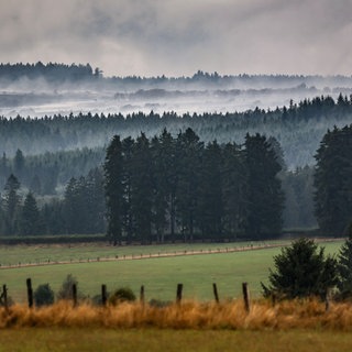 Rauch zieht über das Hohe Venn. Im belgischen Naturschutzgebiet Hohes Venn dauert der Kampf gegen die Flächenbrände an. Beteiligt sind auch deutsche Einsatzkräfte, die von Monschau in der Eifel aus agieren. 