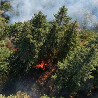 Ein Waldbrand hat sich im August auf rund fünf Hektar in der Nähe der Ortsgemeinde Bengel (Landkreis Bernkastel-Wittlich) ausgedehnt. 