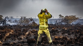 Ein Feuerwehrmann steht am Brandort im Naturschutzgebiet Hohes Venn. Die Bekämpfung des Waldbrandes war wegen des torfhaltigen Bodens in dem Naturschutzgebiet besonders schwierig. 