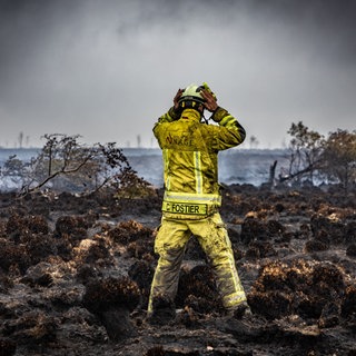 Ein Feuerwehrmann steht am Brandort im Naturschutzgebiet Hohes Venn. Die Bekämpfung des Waldbrandes war wegen des torfhaltigen Bodens in dem Naturschutzgebiet besonders schwierig. 