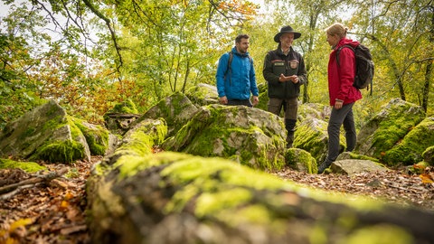 Rangertour im Nationalpark Hunsrück-Hochwald.