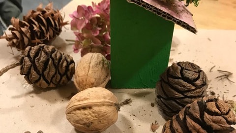 Gebasteltes Wichtelhaus, Teil des Herbstferien-Programms im Naturpark Saar-Hunsrück.