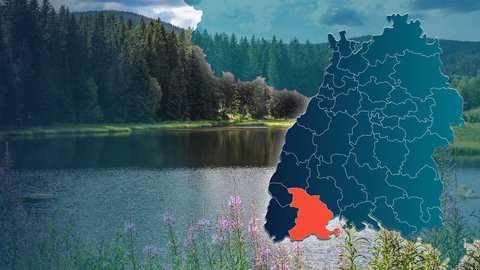 Symbolbild Wahlkreis 288 Waldshut, Bundestagswahl 2025