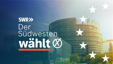 Symbolbild Europawahl