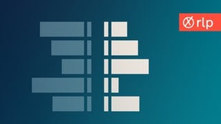 Kommunalwahl 2024 in Rheinland-Pfalz: Analyse der Wahl-Ergebnisse