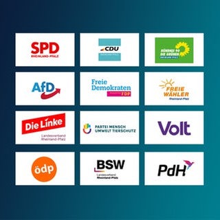 Diese zwölf Parteien sind für die Landtagswahl in RLP zugelassen.