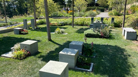 Campus Vivorum - Raum für Trauer zum Experimentierfeld „Friedhof der Zukunft“