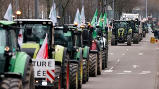 Tausende Landwirte aus verschiedenen EU-Ländern versammelten sich mit Traktoren vor dem Europäischen Parlament, um gegen das zwischen der EU und dem südamerikanischen Mercosur-Block unterzeichnete Freihandelsabkommen zu demonstrieren. Straßburg, 20.01.2026