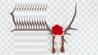 Hirschgeweih mit Zopfperücke und Bommelhut an der Wand