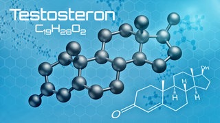 Three-dimensional molecular structure of testosterone