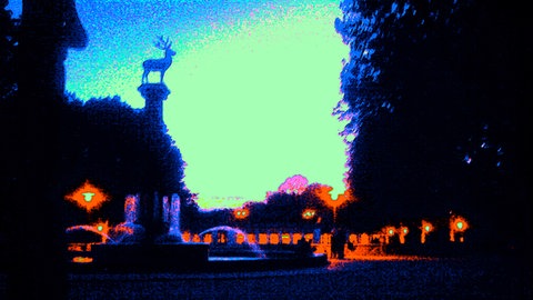 Bild vom Park