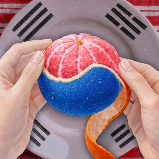 Zwei Hände schälen eine Mandarine, deren Fruchtfleisch und Schale in den Farben Rot, Weiß und Blau gestaltet sind. Ein Stück der orangefarbenen Schale hängt nach unten. Im Hintergrund ist eine graue Fläche zu sehen, überlagert von Elementen der südkoreanischen Flagge mit schwarzen Trigrammen und roten Bereichen.