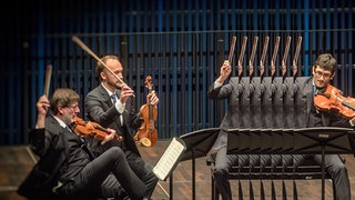Quatuor Danel