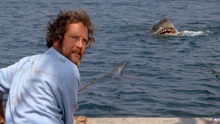 Mann im Boot und im Hintergrund ein weißer Hai