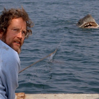 Mann im Boot und im Hintergrund ein weißer Hai