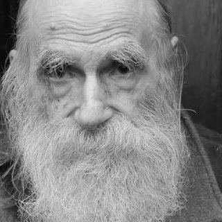 Der Logiker George Spencer-Brown