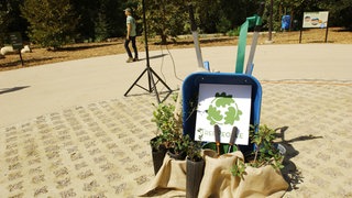 TreePeople Logo mit Schubkarren