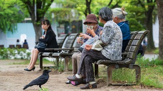 Fukuoka, Japan. Old ladies feeding birds in the city park 