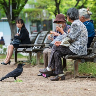 Fukuoka, Japan. Old ladies feeding birds in the city park 