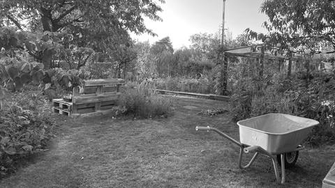 Garten mit Schubkarre