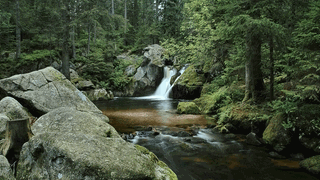 Bachidyll im Hotzenwald