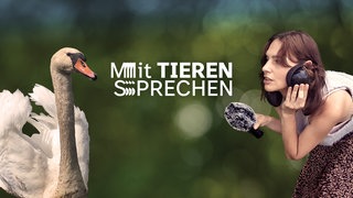Podcastcover: Mit Tieren sprechen