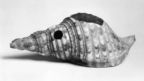 Antsiva , Muschelhorn aus dem 19. Jahrhundert