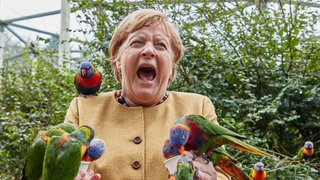 Angela Merkel (CDU), Bundeskanzlerin, füttert australische Loris im Vogelpark Marlow und wird dabei gebissen.