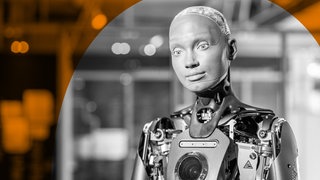 Der neue humanoide Roboter Ameca steht in der Ausstellung des Nixdorf Museums. 