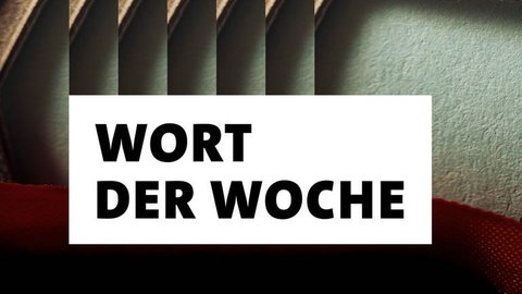 Der Schriftzug "Wort der Woche" auf grau-grünem Hintergrund