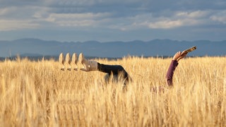 Ein Mensch liegt in einem Kornfeld, man sieht nur ein Bein und die ausgestreckten Arme mit einem Magazin Menschen ein Bein und einen Arm mit einem Magazin in der HandAus einem Kornfeld unter wolkenverhangenem Himmer mit Bergen am Horizont sieht man 