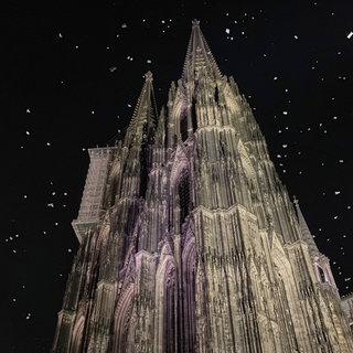 Motten umfliegen nachts den angestrahlten Kölner Dom. Die Lichtverschmutzung nimmt zu und irritiert auch Mäuse, Fledermäuse und Vögel.
