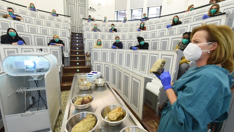 Im Hörsaal des Institus für Anatomie und Zellbiologie am Universitätsklinikum der Martin-Luther-Universität HalleWittenberg  nehmen Student*innen an einem vertiefenden Seminar zum Thema Herz und Lunge mit der Direktorin des Instituts, Prof. Dr. Heike Kielstein teil. – In Deutschland ist gerade mal jede vierte Professur mit einer Frau besetzt. Und das, obwohl mehr Frauen als Männer Abitur machen, sie ebenso häufig studieren und promovieren. 