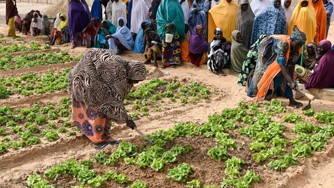 Frauen hacken und jäten Unkraut auf einem Feld: Ein Projekt in Maradi  Niger zur Armutsbekämpfung und Anpassung an den Klimawandel: Gemüsegarten mit Bewässerung durch Solar-Panel für Wasserpumpe,