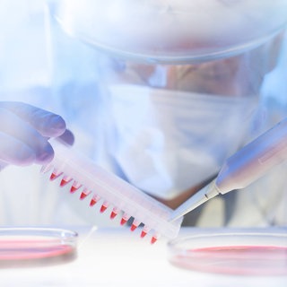 Pipettieren im Labor: In der Öffentlichkeit herrscht die Annahme, dass Forschung von der Hypothese direkt zu einem Ergebnis führt. Aber gerade die Corona-Pandemie zeigt, dass auf dem Weg zur Erkenntnis auch Irrwege liegen. Dieses "Scheitern" erschwert das Forschen. Wie um gehen mit diesem Tabu?