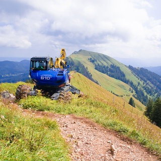 Schreitbagger auf dem Hochgrat