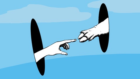 Das Tier und Wir: Eine lange Beziehungsgeschichte