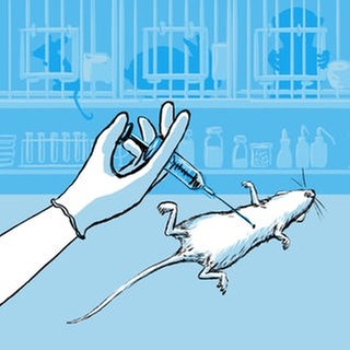 Das Tier und Wir: Laboraffen und Versuchskaninchen