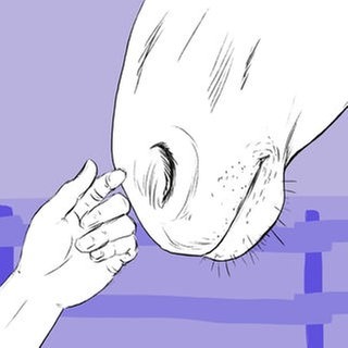 Das Tier und Wir: Therapie mit Tieren