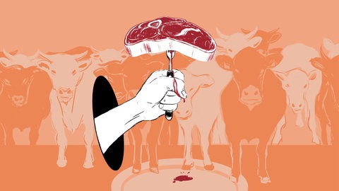 Das Tier und Wir: Tiere essen?