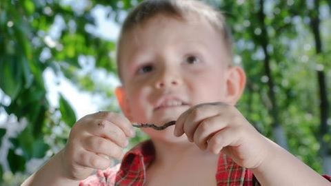 Keiner lockert und belüftet den Boden so geschickt wie der Regenwurm, darum muss man ihn vorsichtig behandeln