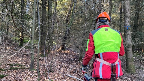 Hannah Mittner bei der Drückjagd
