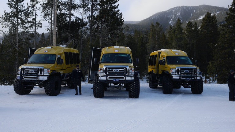 Die Schneebusse sind knallgelb; ihre Reifen haben einen Durchmesser von mehr als einem Meter