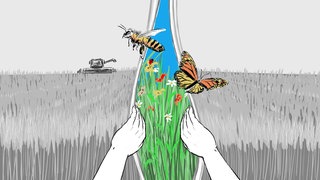 Mammutaufgabe Artenschutz: Der Verlust an Artenvielfalt ist ähnlich bedrohlich wie der Klimawandel. Aber es gibt Lösungen: Schutzgebiete, Umstellungen in der Landwirtschaft und auch im eigenen Garten.
