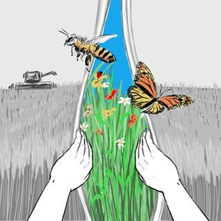 Mammutaufgabe Artenschutz: Der Verlust an Artenvielfalt ist ähnlich bedrohlich wie der Klimawandel. Aber es gibt Lösungen: Schutzgebiete, Umstellungen in der Landwirtschaft und auch im eigenen Garten.